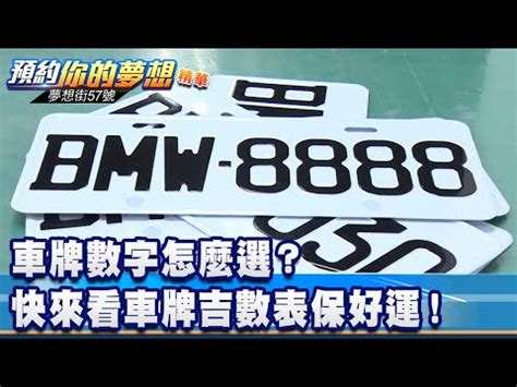 八字選車牌